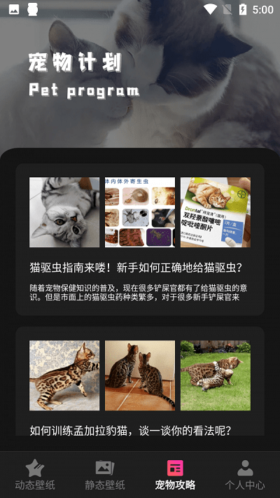 猫吖壁纸 免费下载手机软件app截图