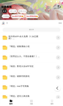 倾城软件库 蓝奏云版手机软件app截图