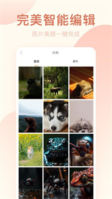美颜神器 手机版手机软件app截图