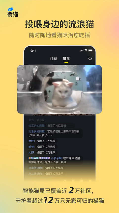 哈啰街猫 app手机软件app截图