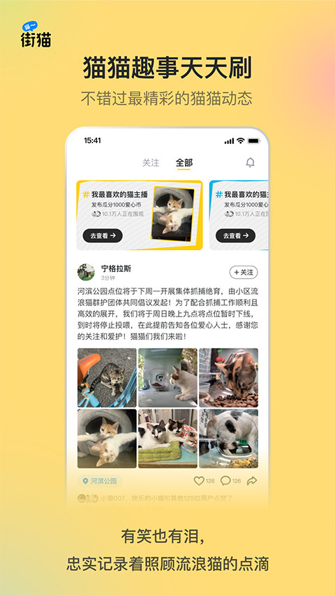 哈啰街猫 app手机软件app截图