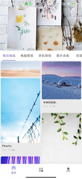 派派壁纸手机软件app截图