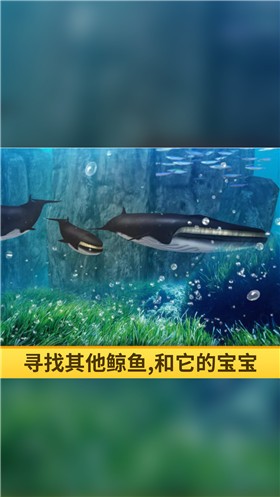 海洋3d蓝鲸模拟手游app截图