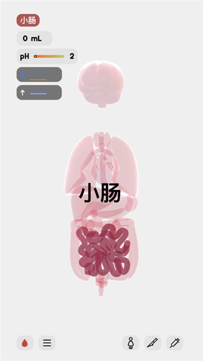 生命人体模拟器 汉化版手游app截图