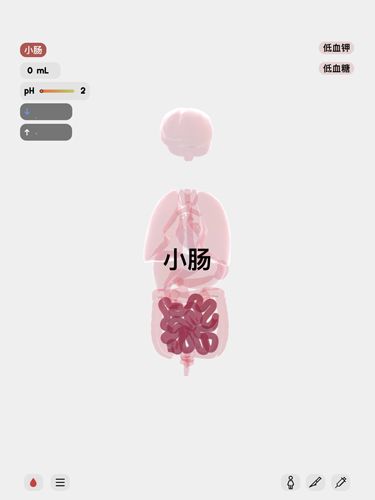 生命life 安卓版官网手游app截图