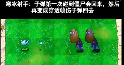 植物大战僵尸吃席版 手机版手游app截图