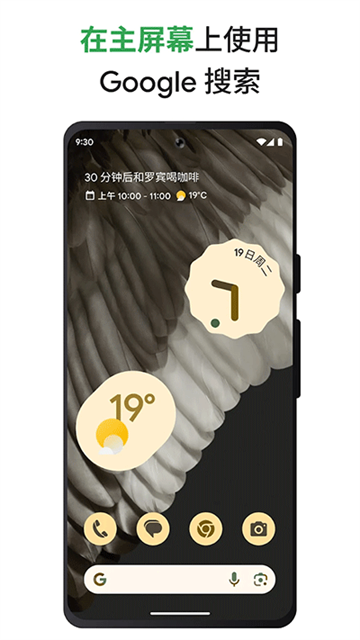 谷歌搜索 镜像入口2025手机软件app截图