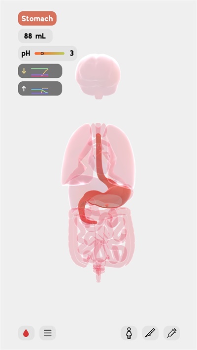 生命life 1.1版手游app截图