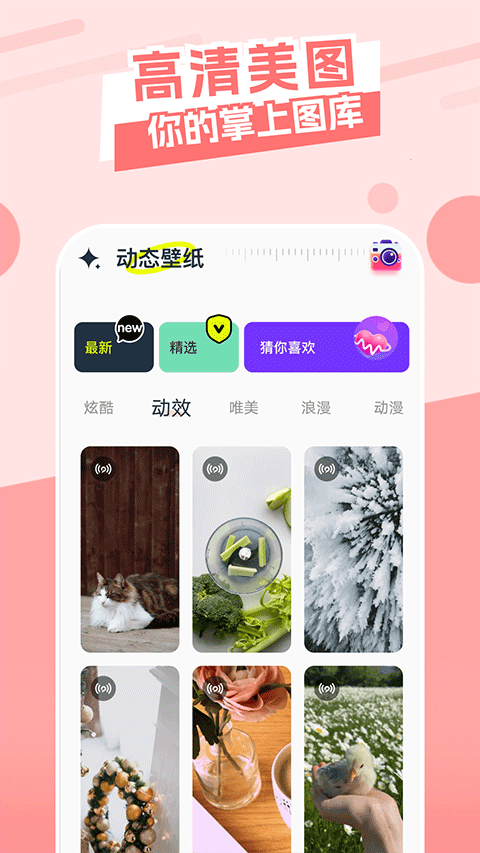 主题库 永久免费版手机软件app截图