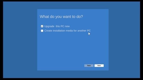 windows11模拟器 手机版中文版下载手机软件app截图