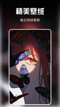 次元壁纸 旧版手机软件app截图