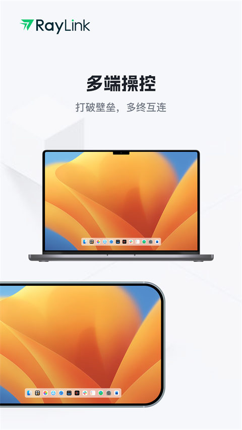 RayLink 官网入口手机软件app截图
