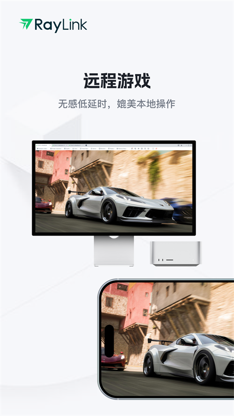 RayLink 官网入口手机软件app截图