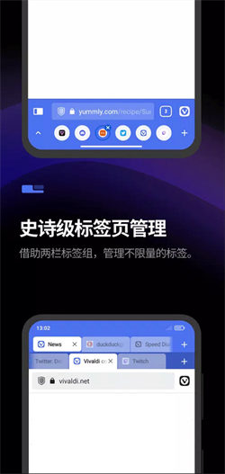 Vivaldi浏览器 官网入口手机软件app截图