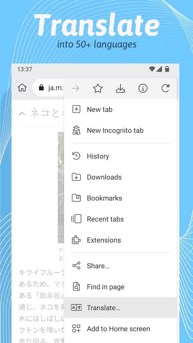 Kiwi浏览器 2025最新版手机软件app截图