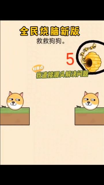 救救狗狗 下载官方正版手游app截图