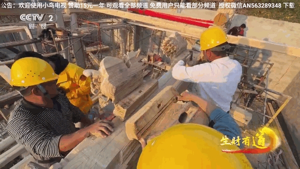 小鸟电视 免费tv在线看手机软件app截图