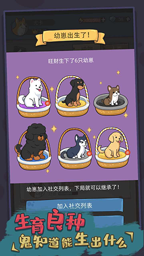 狗生模拟器 2025最新版手游app截图