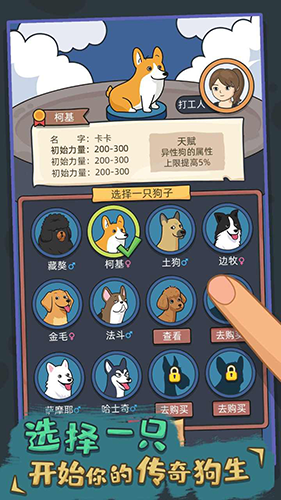 狗生模拟器 2025最新版手游app截图