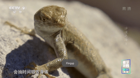 星火电视 纯净版电视app下载手机软件app截图