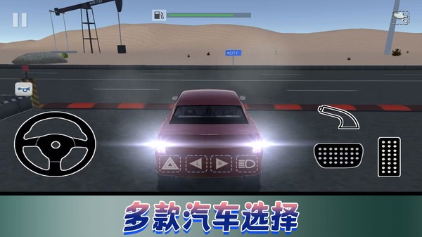 飞车极限巅峰赛手游app截图