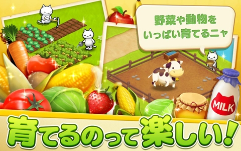 星星岛猫咪手游app截图