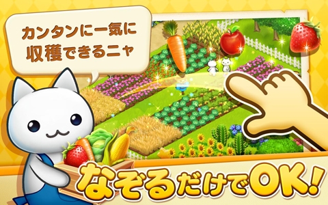 星星岛猫咪手游app截图