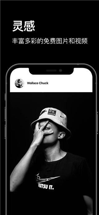 Pexels 手机安卓版手机软件app截图