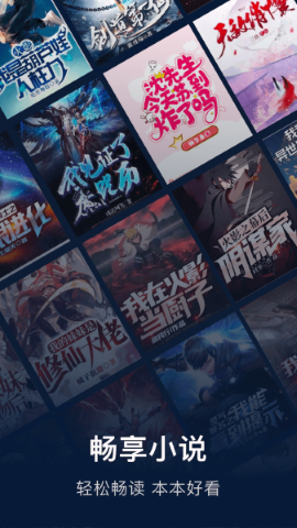 小小追书 下载旧版手机软件app截图