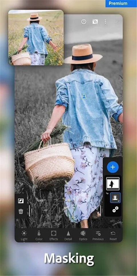 lightroom 中文安卓免费版手机软件app截图