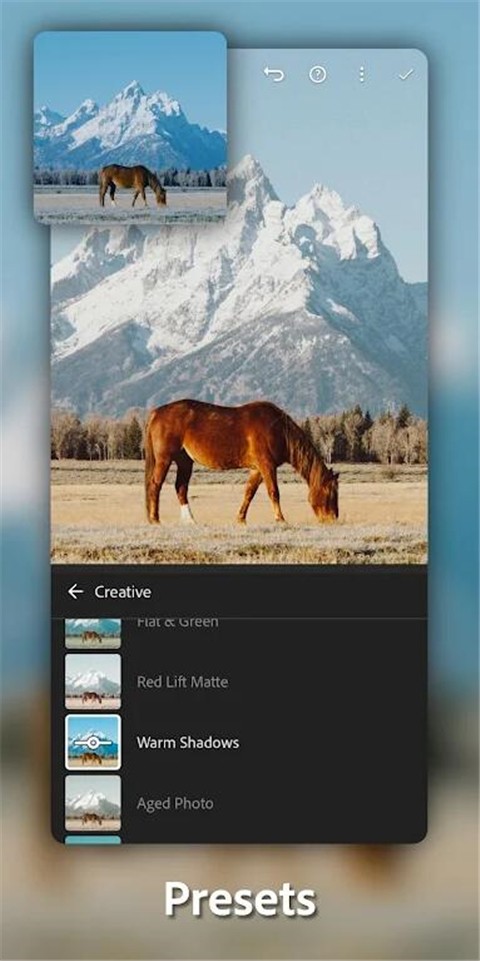 lightroom 中文安卓免费版手机软件app截图