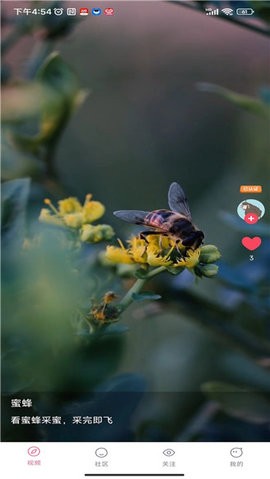 百阅 app老版手机软件app截图
