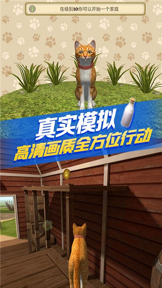 猫咪生存模拟器 最新版手游app截图