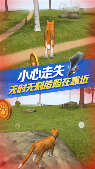 猫咪生存模拟器 最新版手游app截图