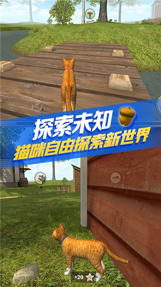 猫咪生存模拟器 最新版手游app截图