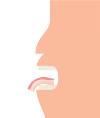 培根Bacon 中文安卓版手游app截图