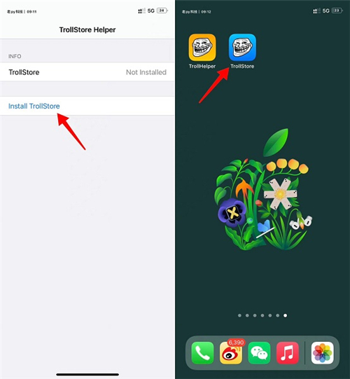 trollstore 插件资源手机软件app截图