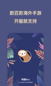 树懒acc加速器 正版官网手机软件app截图