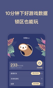 树懒acc加速器 正版官网手机软件app截图