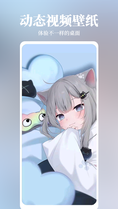 倾心壁纸 无广告版手机软件app截图