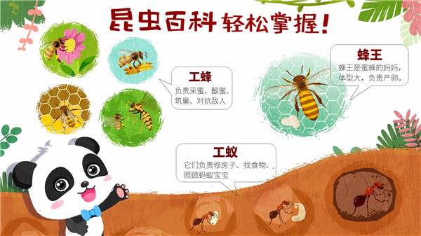 奇妙昆虫世界手游app截图