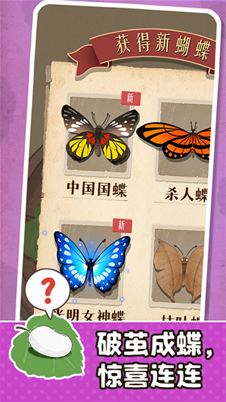 小小养蚕师 汉化安装入口手游app截图