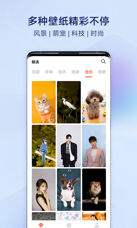 vivo主题商店 2025最新版手机软件app截图
