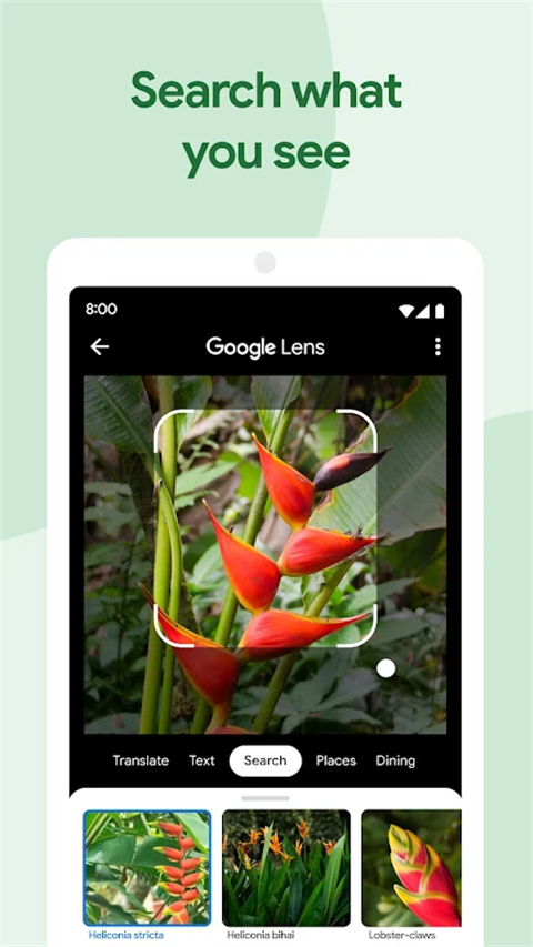 谷歌相册 app最新版手机软件app截图