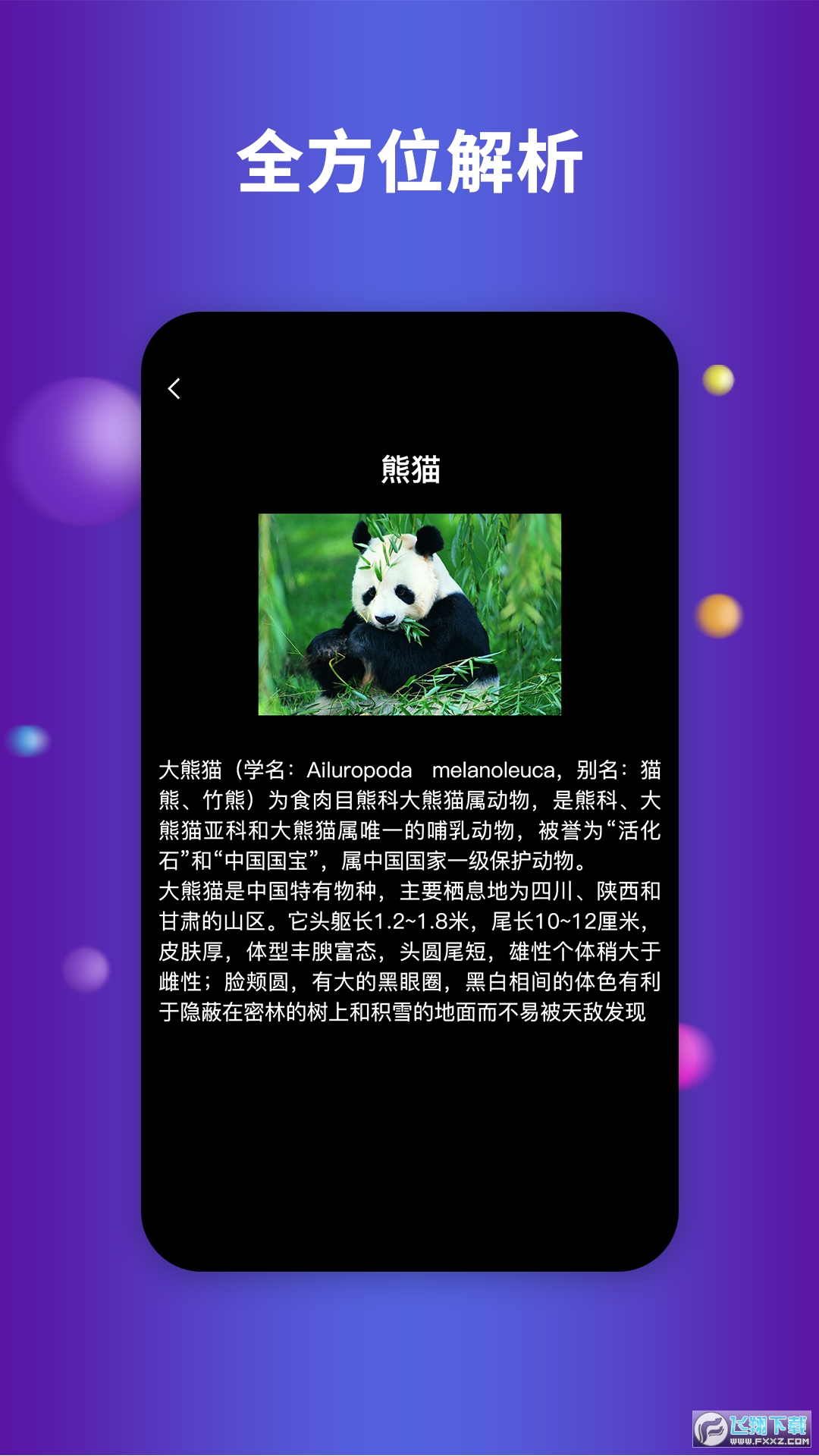 earth地球 高清图源手机软件app截图