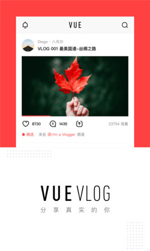 VUEVlog手机软件app截图