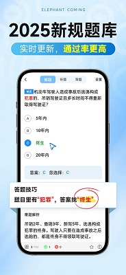 大象驾到Pro手机软件app截图