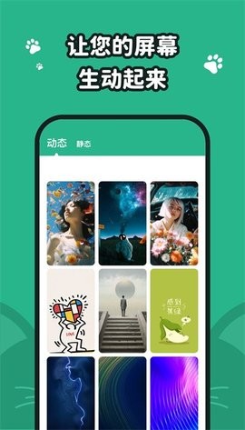 叮咚壁纸 旧版本手机软件app截图