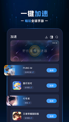 野豹加速器 官网版手机软件app截图