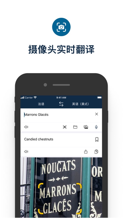 Deepl 安卓版最新版手机软件app截图